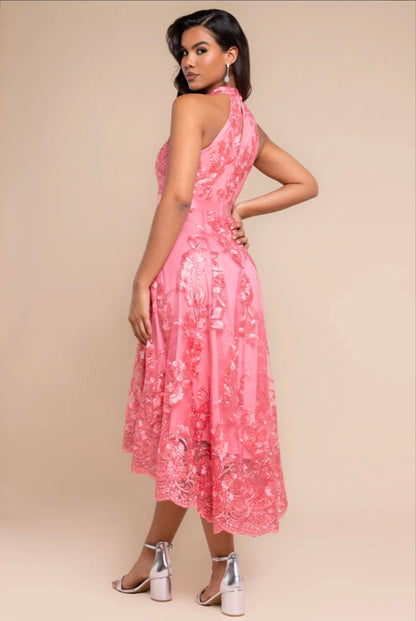 Coral Goddiva Halter Neck Lace High And Low Dress
