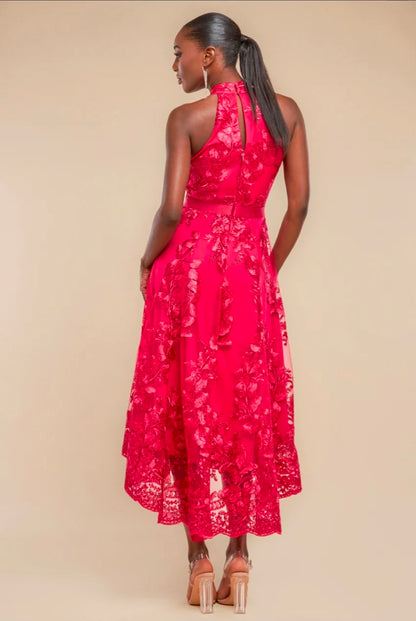 Magenta Goddiva Halter Neck Lace High And Low Dress